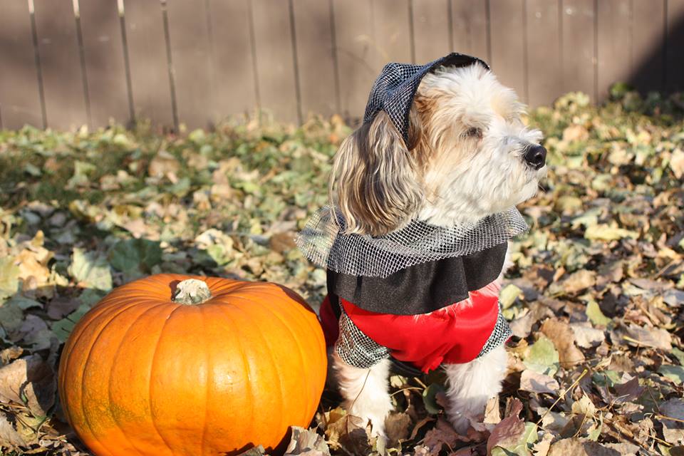 554186_549768961772012_1199902782_n