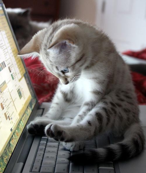 WOAL Caption this 01